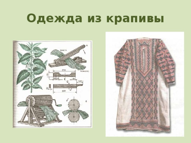 растения одежды