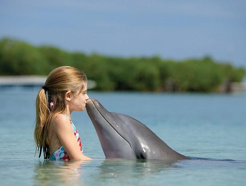 Дельфин и люди